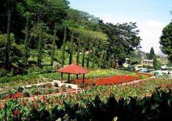 Modal Rp 900 Ribu, Bisa Liburan 3 Hari 2 Malam di Malang