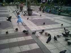 Wajib Coba! 5 Kegiatan Asyik Saat ke Malang