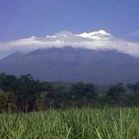 Antisipasi Semburan Debu, Warga Sekitar Gunung Raung Diberi Masker