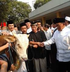 Hari Idul Adha, Ical: Mari Kita Berkorban Untuk Bangsa