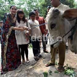 Anang-Ashanty Serahkan Hewan Kurban