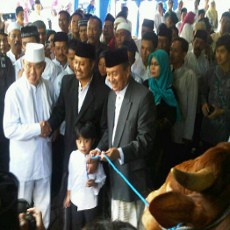 Sapi Kurban Wagub Jatim 1 Ton dan Gubernur 1,15 Ton