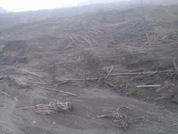 Merapi Pasca Meletus