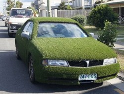 Mobil Mitsubishi Ditutupi Rumput