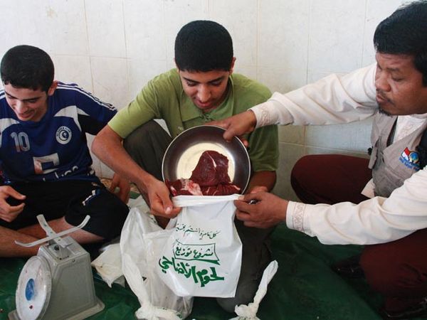 Kurban Untuk Warga palestina