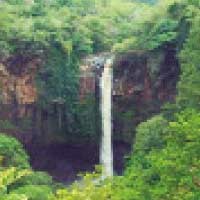 Seorang Remaja asal Sidoarjo Hilang di Air Terjun Baung