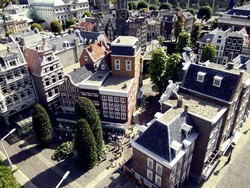 Menjadi Raksasa di Taman Ini