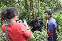 Busyet! Pemberontak di Kongo Jadi Pemandu Wisata