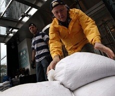  Kota New York Lumpuh, WNI: Untung Stok Makanan Cukup