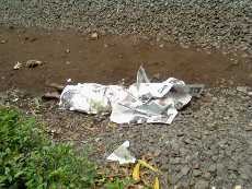 Bocah 9 Tahun Tewas Terjatuh dari KRL di Dekat Jembatan UI 