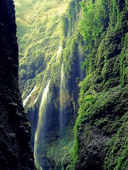 Madakaripura, Tempat Semedi Gajah Mada