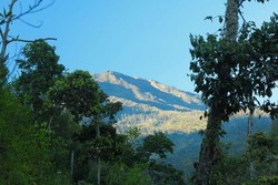 Gunung Lawu yang Berliku