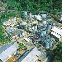 Harga Komoditas Melempem, Laba Antam Anjlok 60%