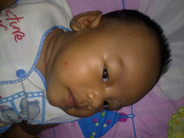 Kenzie Athaqilla Purnomo, 5 Bulan, Lelaki