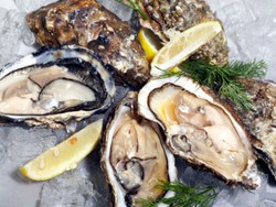 Tiram Pun Bisa Terserang Herpes