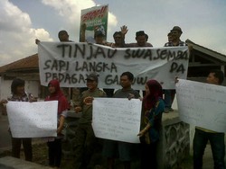 Sapi Langka, Tukang Jagal di Banyumas Berdemo