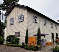 Manjakan Peliharaan 24 Jam Nonstop di Hotel Khusus Hewan