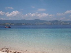 Rela Menderita Demi Keindahan Taman Laut 17 Pulau Riung