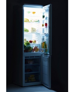 Kulkas Mati? Inilah Makanan yang Perlu Disimpan dan Dibuang (1)