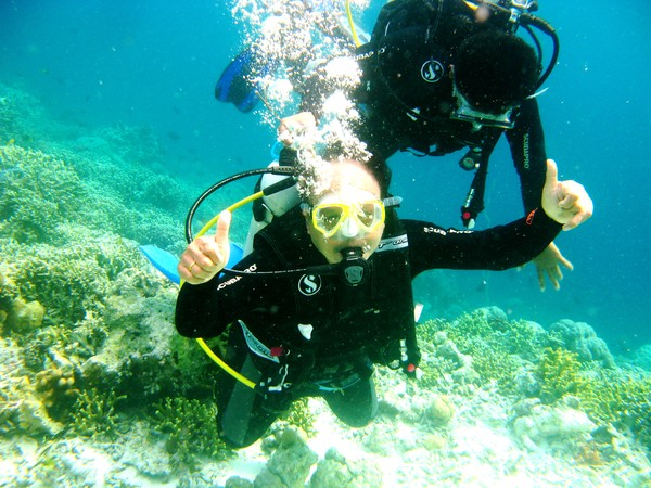 Aktivitas Diving menikmati keindahan Surga Nyata Bawah Laut.