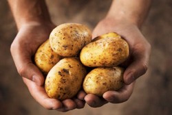 Jurus Ampuh! Turunkan Berat Badan dengan Jus Kentang