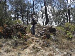 ARGOPURO DAN PUING ISTANA TERTINGGI DI NUSANTARA