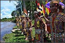 Meneropong Ritual Adat Dayak Taman Melapi Kapuas Hulu