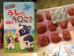 Nyam..nyam Legit Kenyal Kotoran Sapi Asli Hokkaido