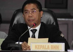 Martin Hutabarat: Nasib Gories Mere Sebagai Kepala BNN di Tangan Presiden