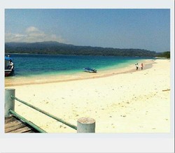 Hai Badak, Dimana Kalian?