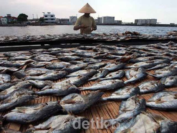 Kebutuhan Ikan Asin Capai 4 Ton Perhari