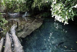 Harus Tahu, 3 Pesona Wisata di Hulu Sungai Citarum