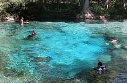 Bosan Diving di Laut? Coba Gua Air Tawar yang Indah Ini!