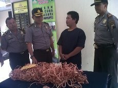 Mengaku Butuh Uang untuk Obati Pacar, Dwi Purwanto Nekat Curi Kabel