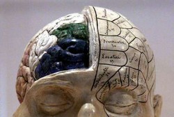 Penelitian: Makin Modern, Manusia Bakal Makin Bodoh