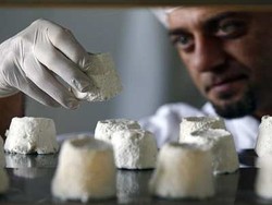 Pule Keju Keledai Termahal Di Dunia