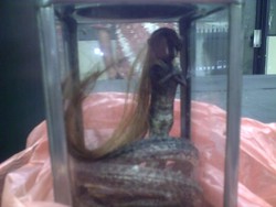 Jenglot Dipakai Merampok, Polisi: Pelaku Pakai Modus Buka Aura