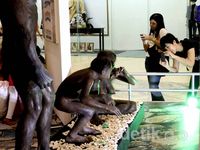 Koleksi Museum Sangiran Mejeng di di Mal