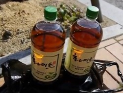 Astaga, Ada Wine Feses di Korea!