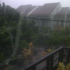 Hujan dan Angin Kencang Melanda Bogor