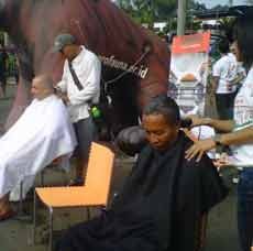 Prihatin Pembalakan Liar, ProFauna Aksi Cukur Gundul