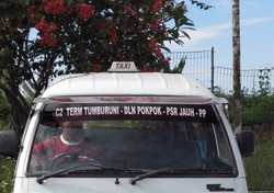 Ini Dia Taksi-nya Orang Papua!