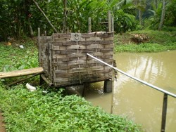 Astaga! 48 Juta Penduduk Indonesia Masih Buang Air Besar Sembarangan