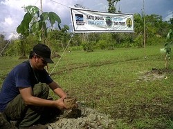 Freeport Sukses Panen Sayur & Buah di Lahan Pasir Sisa Tambang