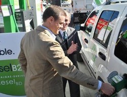 Ganggang Jadi Bahan Pembuat Solar