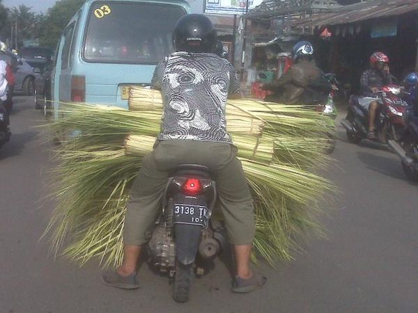 Motor Daun Kelapa