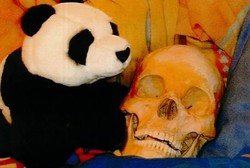 Kelainan Seksual, Wanita Ini Bercinta dengan Tulang Belulang