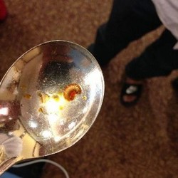 Ada Belatung di Sup Timnas Indonesia!