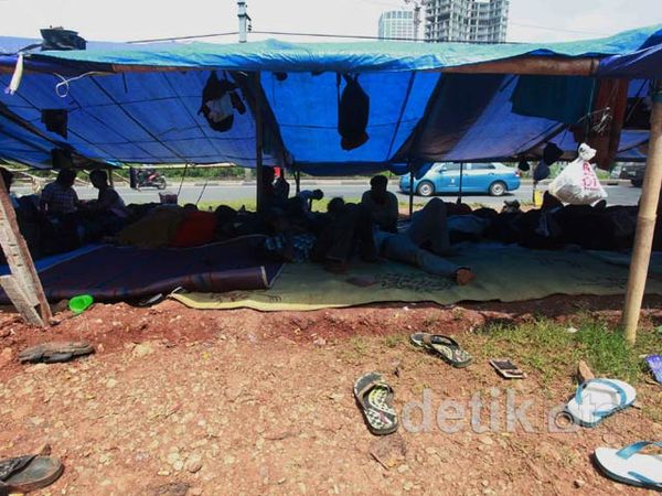 Hari ke-8 Petani Jambi Menginap di Kemenhut