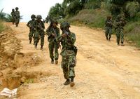 TNI Gelar Latihan Perang
